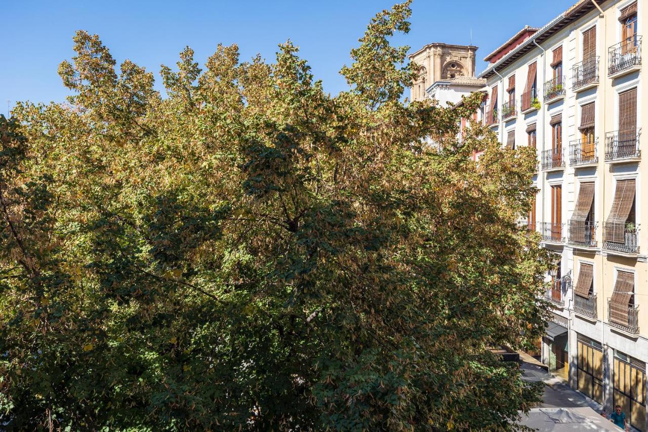 Апартаменти Dreaming Bib Rambla - Free Parking Гранада Екстер'єр фото